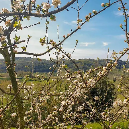 Country house Agriturismo Podere Le Tombe *