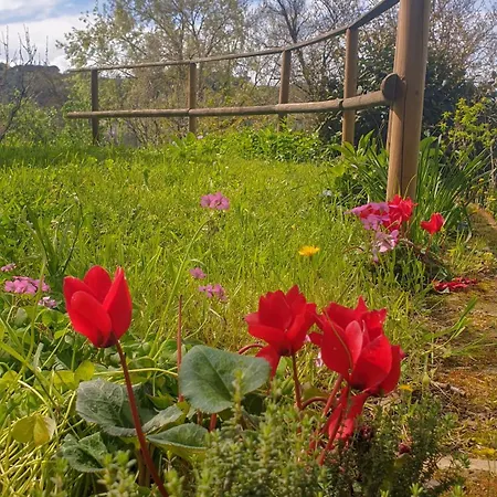 Country house Agriturismo Podere Le Tombe Palaia